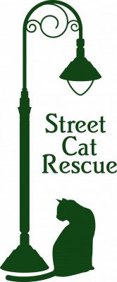 Street Cat Rescue - Pet Shelter and Rescue in Round Rock, Texas