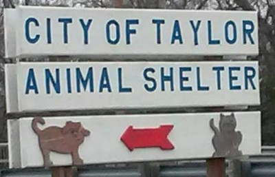 City Of Taylor Texas Animal Shelter - Pet Shelter and Rescue in Taylor, Texas