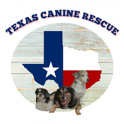 Texas Canine Rescue - Pet Shelter and Rescue in Baytown, Texas
