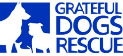 Grateful Dogs Rescue - Pet Shelter and Rescue in San Francisco, California