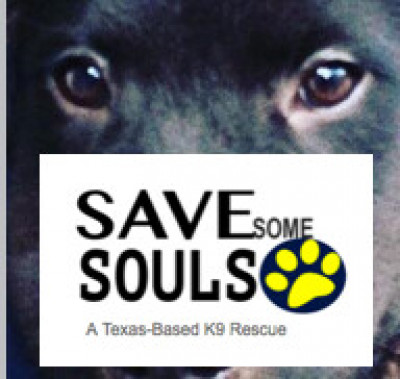Save Some Souls - Pet Shelter and Rescue in Houston, Texas