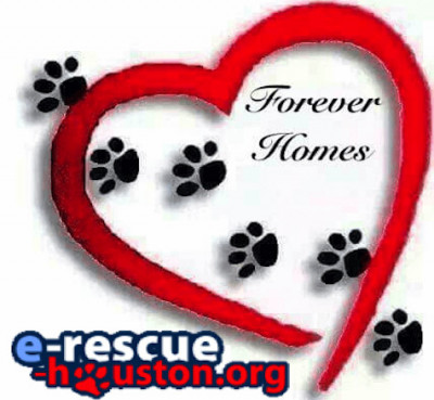 E-Rescue-Houston Inc. - Pet Shelter and Rescue