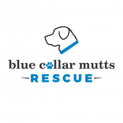 Blue Collar Mutts Rescue, Inc. - Pet Shelter and Rescue in Lufkin, Texas