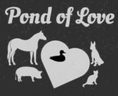 Pond Of Love - Pet Shelter and Rescue in Dallas, Texas