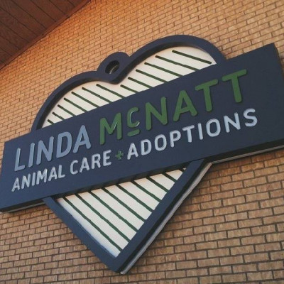 City Of Denton Animal Services - Pet Shelter and Rescue in Denton, Texas