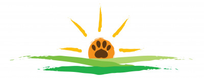 Ordinary Miracles Canine Rescue - Pet Shelter and Rescue in San Antonio, Texas