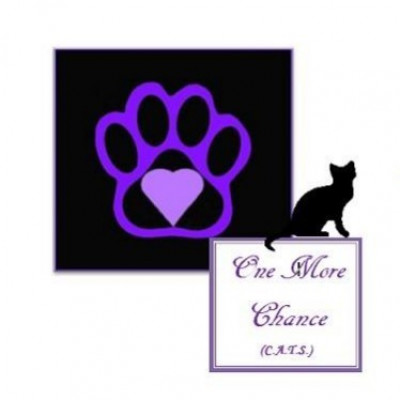 One More Chance CATS/DOGS - Pet Shelter and Rescue in St. George, Utah