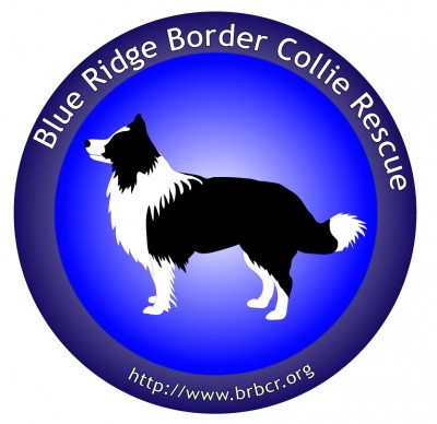 Blue Ridge Border Collie Rescue - Pet Shelter and Rescue in Culpeper, Virginia