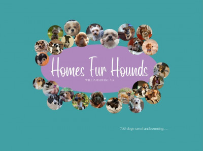Homes Fur Hounds, Inc. - Pet Shelter and Rescue in Williamsburg, Virginia