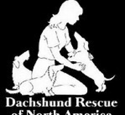 Dachshund Rescue Of North America Inc. - Pet Shelter and Rescue in Manassas, Virginia