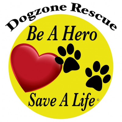 DogZone Rescue - Pet Shelter and Rescue in San Francisco, California