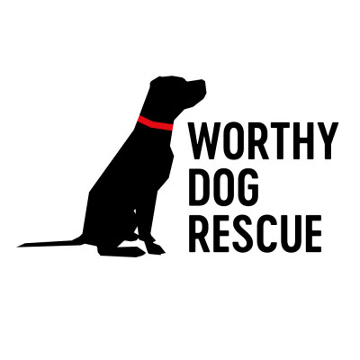 Worthy Dog Rescue - Pet Shelter and Rescue in Arlington, Virginia