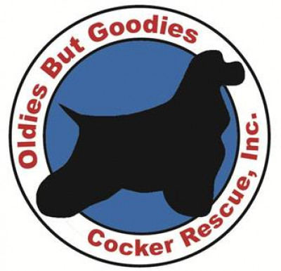 Oldies But Goodies (Northern VA) Cocker Rescue - Pet Shelter and Rescue in Arlington, Virginia