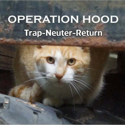 Operation Hood Inc. - Pet Shelter and Rescue in Fredericksburg, Virginia