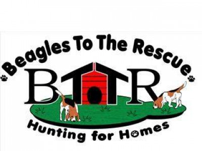Beagles To The Rescue - Pet Shelter and Rescue in Chesapeake, Virginia
