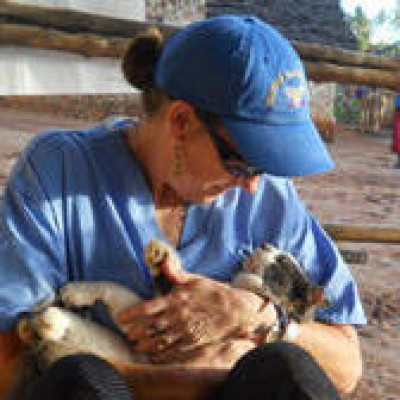 Helping Homeless Felines - Pet Shelter and Rescue in Fairfax, Virginia