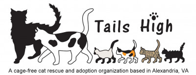 Tails High, Inc. - Pet Shelter and Rescue in Alexandria, Virginia