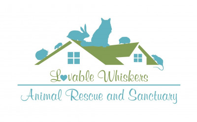 Lovable Whiskers - Pet Shelter and Rescue in South Riding, Virginia