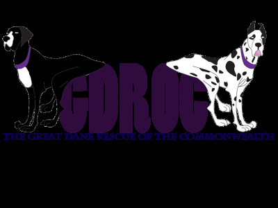 Great Dane Rescue Of The Commonwealth - Pet Shelter and Rescue in Virginia Beach, Virginia