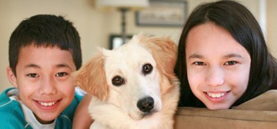 Animal Connections - Pet Shelter and Rescue in Louisa, Virginia