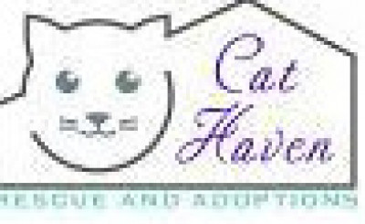 CAT HAVEN - Pet Shelter and Rescue in Franconia, Virginia