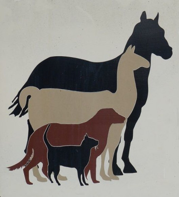 Clarke County Animal Shelter - Pet Shelter and Rescue in Berryville, Virginia