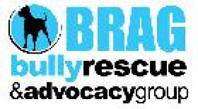 Bully Rescue & Advocacy Group, Inc. - Pet Shelter and Rescue in Colonial Heights, Virginia