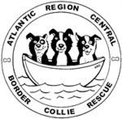 Atlantic Region Central Border Collie Rescue (ARCBCR) - Pet Shelter and Rescue in Richmond, Virginia