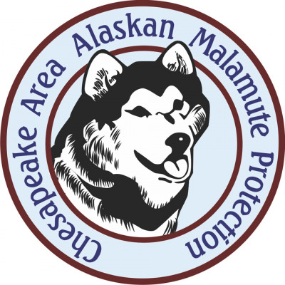 Chesapeake Area Alaskan Malamute Protection - Pet Shelter and Rescue in Berryville, Virginia