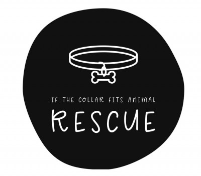 If The Collar Fits Animal Rescue - Pet Shelter and Rescue