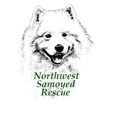 Northwest Samoyed Rescue - Pet Shelter and Rescue in Tenino, Washington