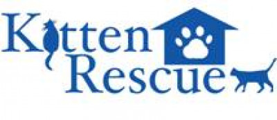 Kitten Rescue Of Mason County - Pet Shelter and Rescue in Shelton, Washington