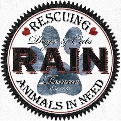 RAIN - Rescuing Animals In Need - Pet Shelter and Rescue in Auburn, Washington
