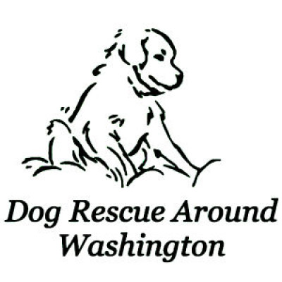 Dog Rescue Around Washington - Pet Shelter and Rescue in Tacoma, Washington