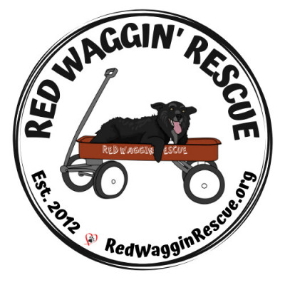 Red Waggin Rescue - Pet Shelter and Rescue in Kirkland, Washington