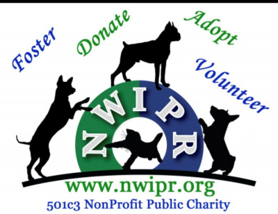 Northwest International Pet Rescue - Pet Shelter and Rescue in Edmonds, Washington