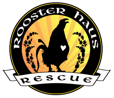 Rooster Haus Rescue - Pet Shelter and Rescue in Fall City, Washington