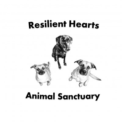 Resilient Hearts Animal Sanctuary - Pet Shelter and Rescue in Seattle, Washington