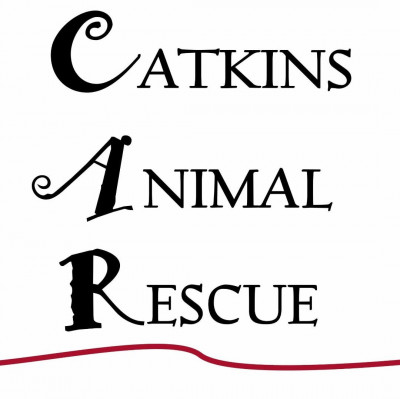 Catkins Animal Rescue, Inc - Pet Shelter and Rescue in Park Falls, Wisconsin