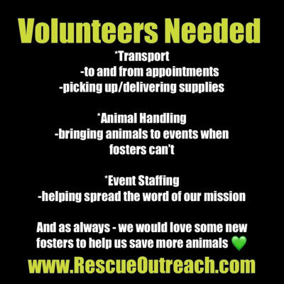 Rescue Outreach - Pet Shelter and Rescue in Union Grove, Wisconsin