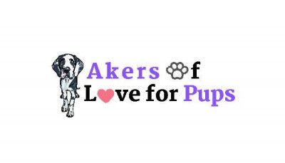 Akers Of Love For Pups, Inc. - Pet Shelter and Rescue in Delavan, Wisconsin