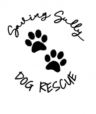 Saving Sully Dog Rescue - Pet Shelter and Rescue in Taycheedah, Wisconsin