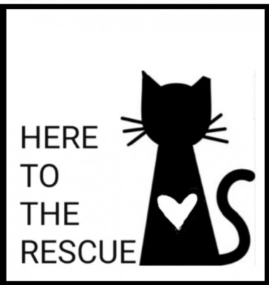 Here To The Rescue - Pet Shelter and Rescue in Barron, Wisconsin