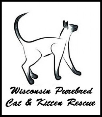 Wisconsin Purebred Cat And Kitten Rescue - Pet Shelter and Rescue in Spring Green, Wisconsin