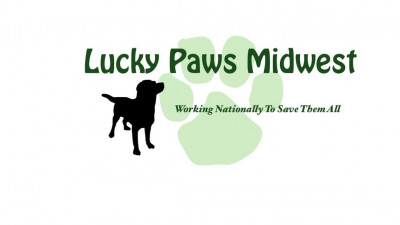 Lucky Paws Midwest - Pet Shelter and Rescue in Baldwin, Wisconsin
