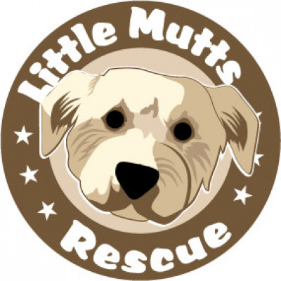 Little Mutts Rescue Society - Pet Shelter and Rescue in Calgary, Alberta