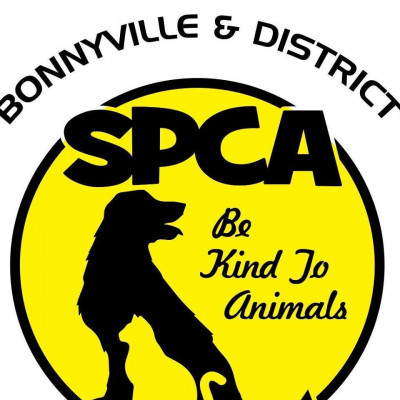 Bonnyville District SPCA - Pet Shelter and Rescue in Bonnyville, Alberta