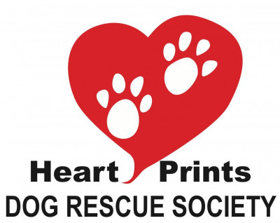Heart Prints - Pet Shelter and Rescue in Leduc, Alberta