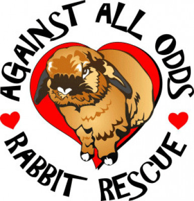 Against All Odds Rabbit Rescue - Pet Shelter and Rescue in Calgary, Alberta