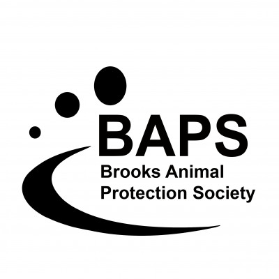 Brooks Animal Protection Society - Pet Shelter and Rescue in Brooks, Alberta